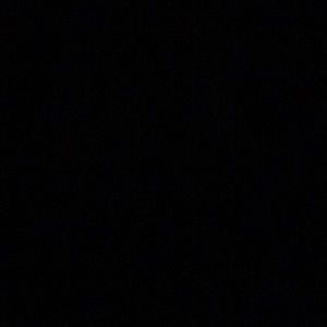 Meet your Posher, Julius